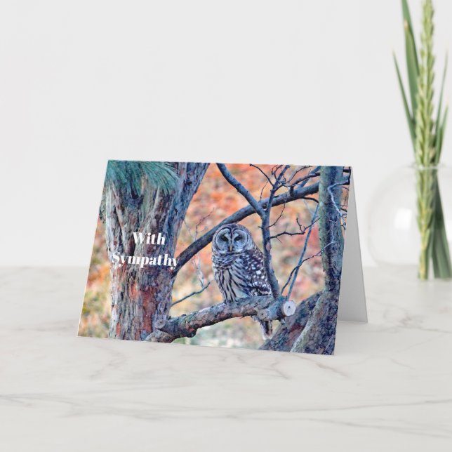 Tarjeta Simpatía por la foto del árbol de búho salvaje (Anverso)