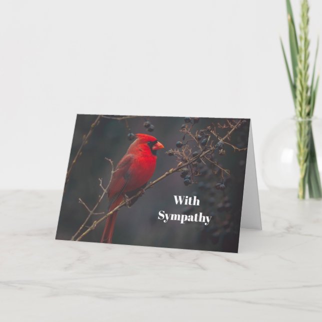 Tarjeta Simpatía por la foto del Cardenal Rojo de Vida Sil (Anverso)