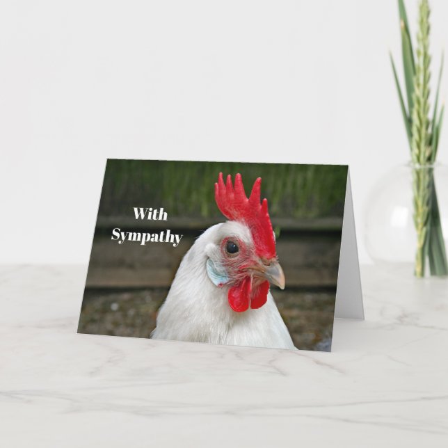 Tarjeta Simpatía por la foto del gallo de cabeza blanca de (Anverso)