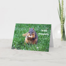 Tarjeta Simpatía por la foto del maní de la ardilla