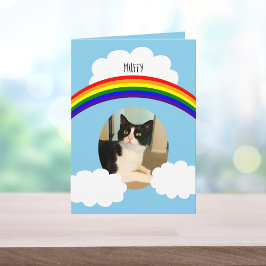 Tarjeta Simpatía por la foto del Mascota Cat Rainbow