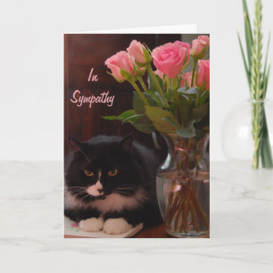 Tarjeta Simpatía por la pérdida de gato con las rosas rosa