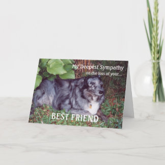 Tarjeta Simpatía por la pérdida de mascota-perro/con poema