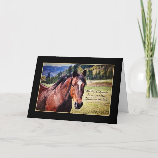 Tarjeta Simpatía por la pérdida del querido caballo Mascot (Anverso)