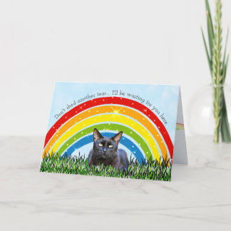 Tarjeta Simpatía por pérdida de gatos del puente arcoiris