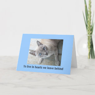 Tarjeta Simpatía por pérdida de mascota: pérdida de tarjet