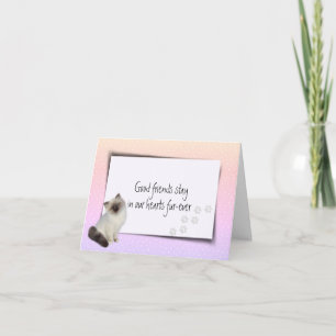 Tarjeta Simpatía por pérdida de Mascota Rag Doll