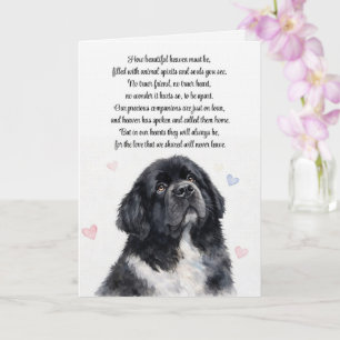 Tarjeta Simpatía por Perro Terranova Newfie Condolencias
