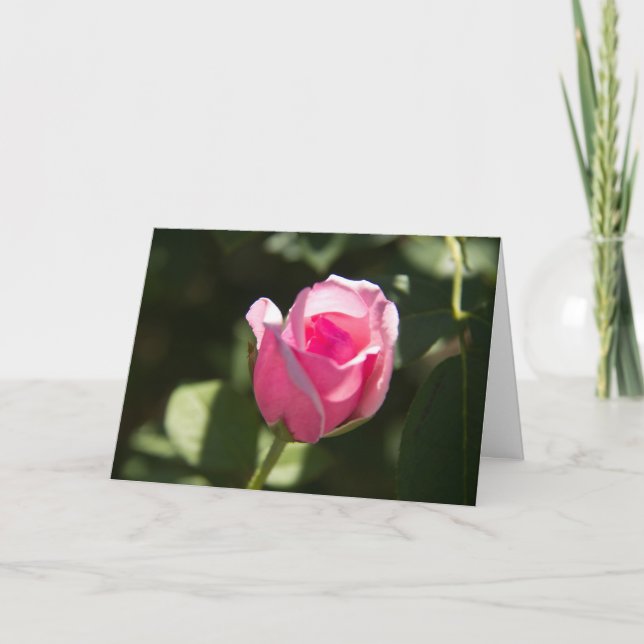 Tarjeta Simpatía por Rosa Rosa Bud (Anverso)