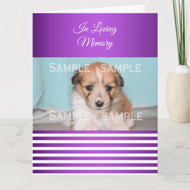 Tarjeta Simpatizante pérdida de mascota blanco púrpura | F (Anverso)