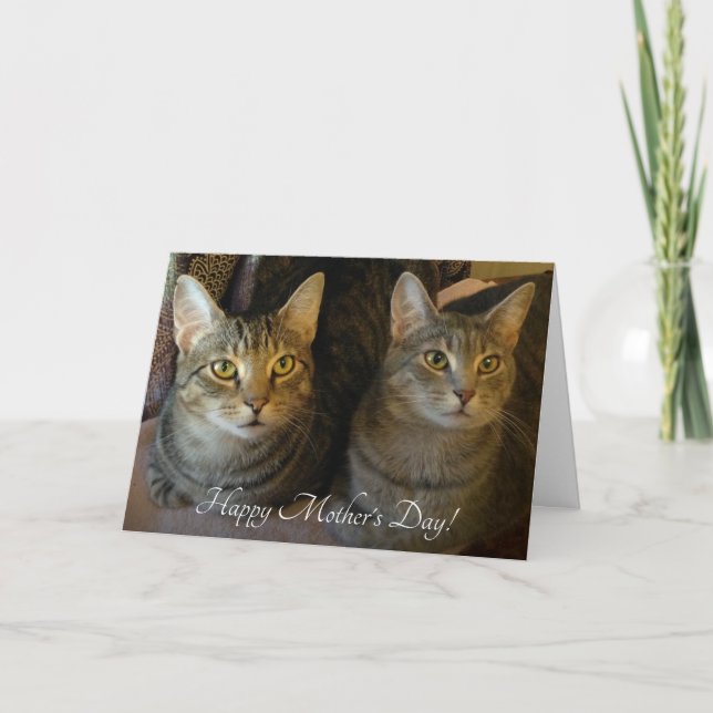 Tarjeta Simple Cats Photo Mother's Day  (Anverso)