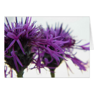 Tarjeta simple - Thistle