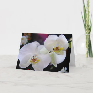 Tarjeta Simplemente orquídeas