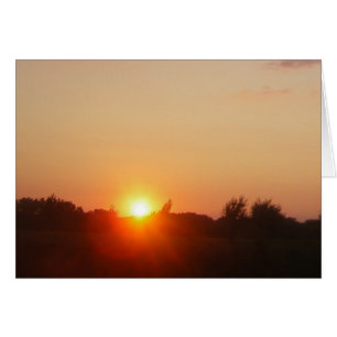 Tarjeta sin frontera de Sunglow