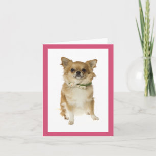 Tarjeta sin texto de cachorro Chihuahua
