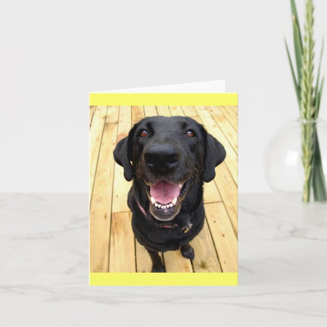 Tarjeta sin texto de cachorro de Labrador Retrieve (Anverso)