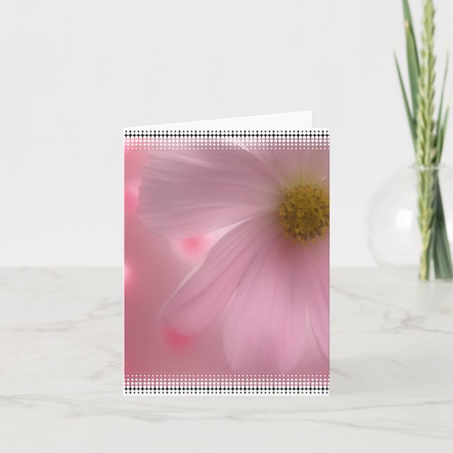 Tarjeta sin texto Flor de Margarita Rosa (Anverso)