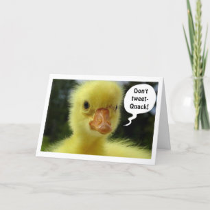 TARJETA SIN TEXTO/TUITEO=TARJETA DE CUMPLEAÑOS DE PATO PAR