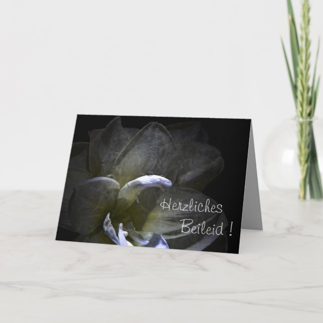 Tarjeta ¡Sincero pésame ! Flor de amarilis   ... (Anverso)