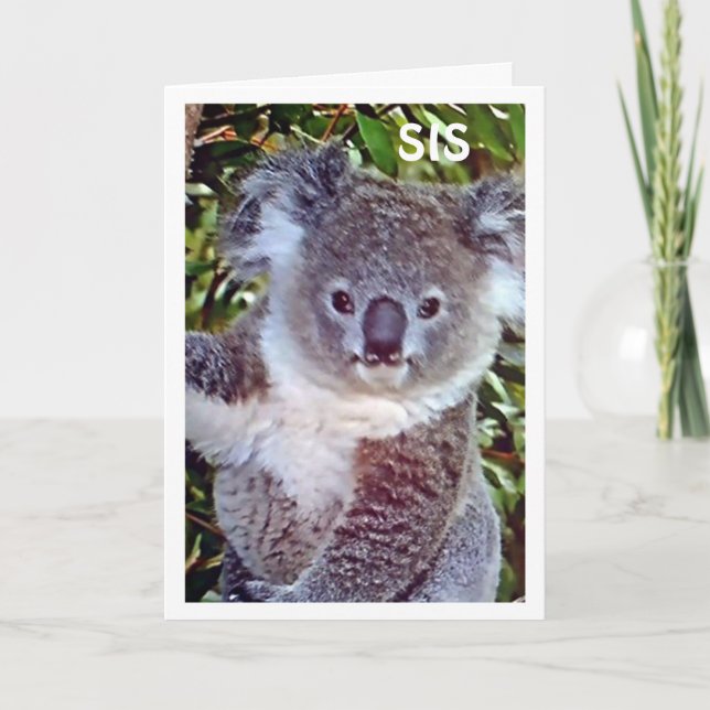 TARJETA SIS ESTA "TARJETA DE CUMPLEAÑOS DE KOALA ES SOLO P (Anverso)