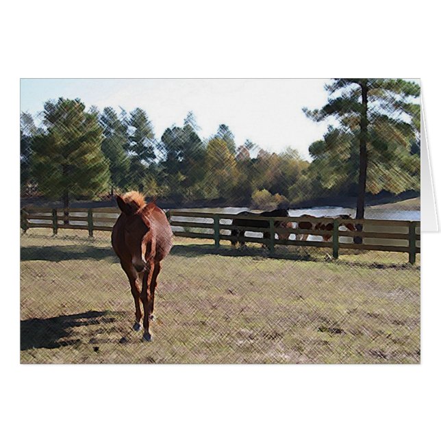 Tarjeta Sissy Mule (Anverso (Horizontal))