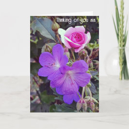 Tarjeta Sister de recuperación rápida