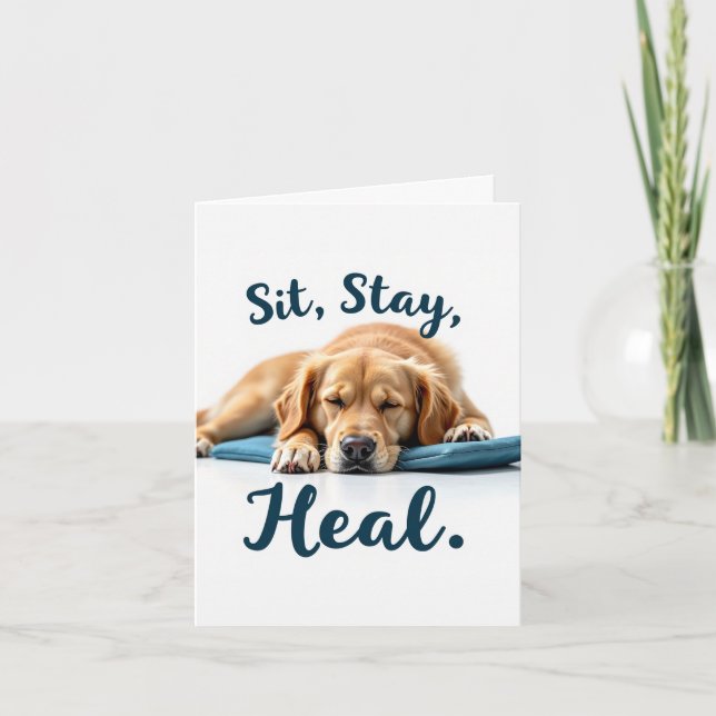 Tarjeta Sit Stay Heal Funny Get Well Card (Anverso)