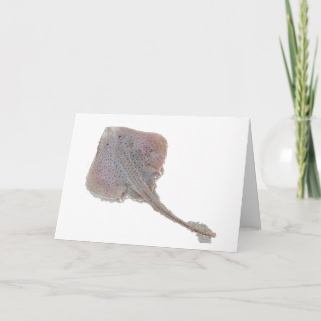 Tarjeta Skate Note (Anverso)