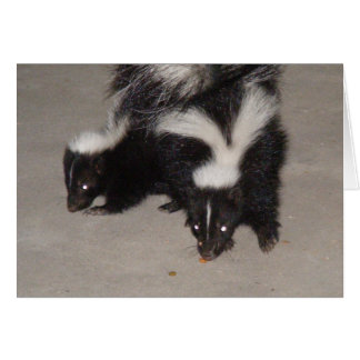 Tarjeta Skunk Blank / Poema al revés