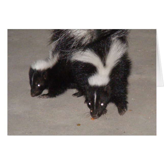 Tarjeta Skunk Blank / Poema al revés (Anverso (Horizontal))