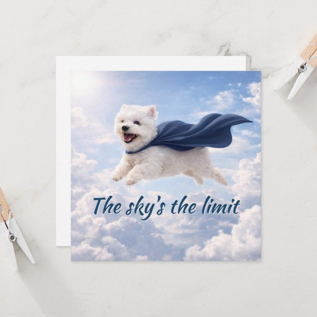 Tarjeta Sky's the Limit (Anverso/Reverso In Situ)