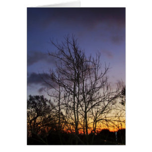 Tarjeta Skyscapes #001