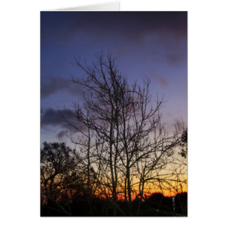 Tarjeta Skyscapes #001