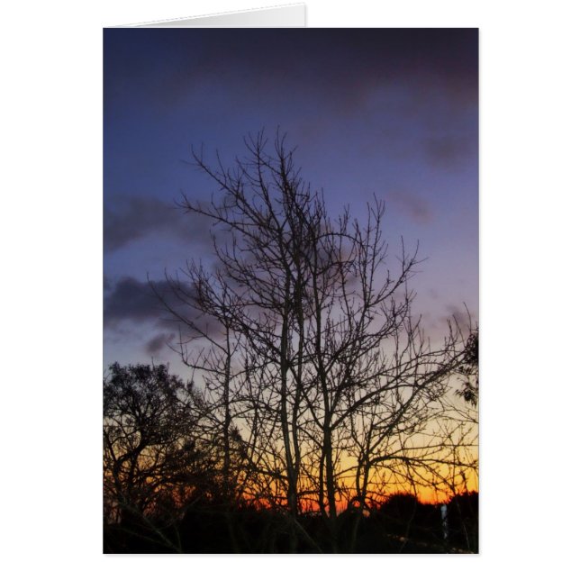 Tarjeta Skyscapes #001 (Frente)