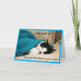 Tarjeta Sleeping Black and White Cat Sympathy