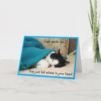Tarjeta Sleeping Black and White Cat Sympathy
