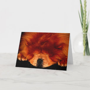 Tarjeta Sleeping Chow Chow Gccnm