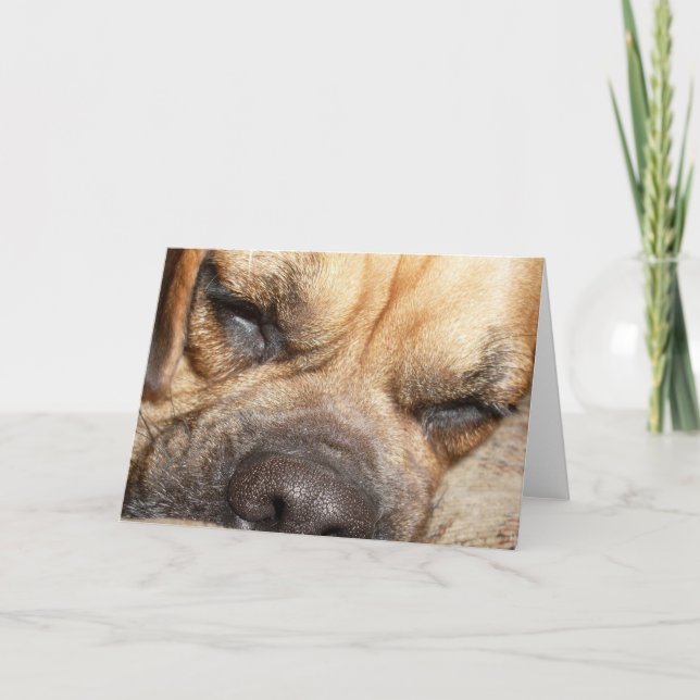 Tarjeta Sleeping Mastiff  Greeting Card (Anverso)