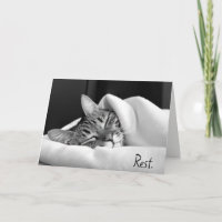 Sleeping Tabby Cat para recuperarse pronto
