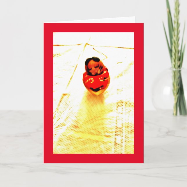 Tarjeta Sleepy Chipmunk (Anverso)