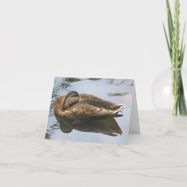 Tarjeta Sleepy Duck Nature Photography Note (Anverso)