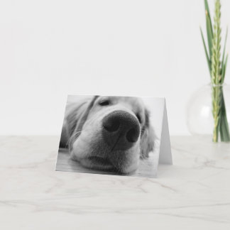 Tarjeta Sleepy Golden