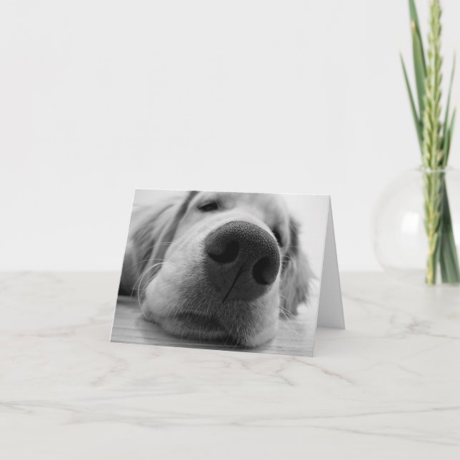 Tarjeta Sleepy Golden (Anverso)