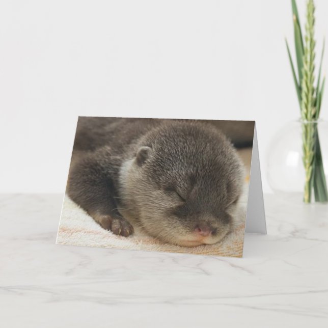 Tarjeta Sleepy Otter (Anverso)