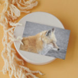 Tarjeta Sleepy Red Fox Funny Wildlife Birday<br><div class="desc">Tarjeta de cumpleaños para todos que incluye la foto de un zorro rojo somnoliento con los ojos cerrados. Adentro hay un humorístico saludo de cumpleaños. Seleccione una tarjeta de estilo mate o brillante.</div>