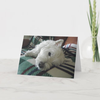 Tarjeta Sleepy Sofa Westie Photo Greaming Card