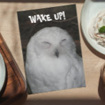 Tarjeta Sleepy White Owen Photo Funny Birday Card<br><div class="desc">Obtén la atención de alguien en su cumpleaños con esta graciosa tarjeta de saludo que muestra la imagen de una lechuza dormida y blanca. Seleccione una tarjeta de estilo mate o brillante.</div>