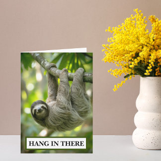 Tarjeta Sloth Hang In There Encouragement