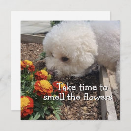 Tarjeta Smell the Flowers