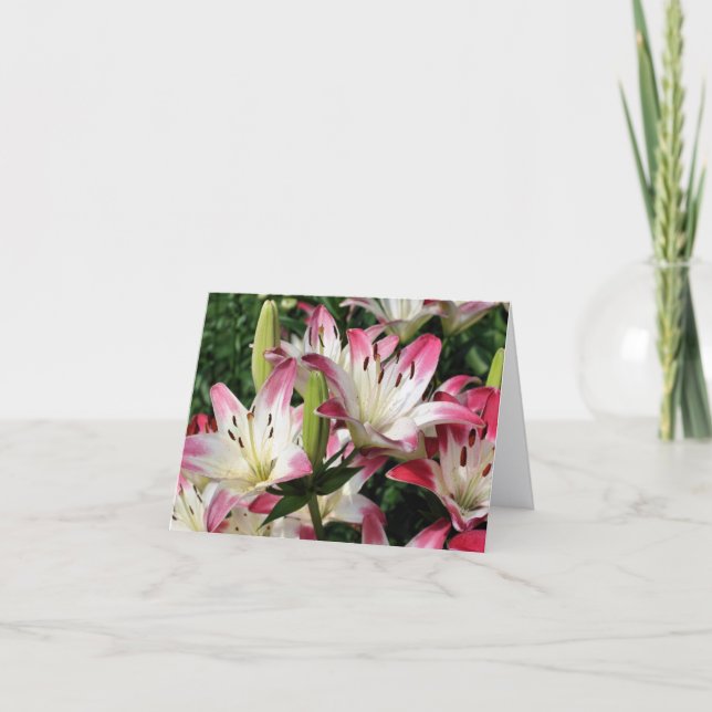 Tarjeta Smiling Lilies Flower Photography Note (Anverso)